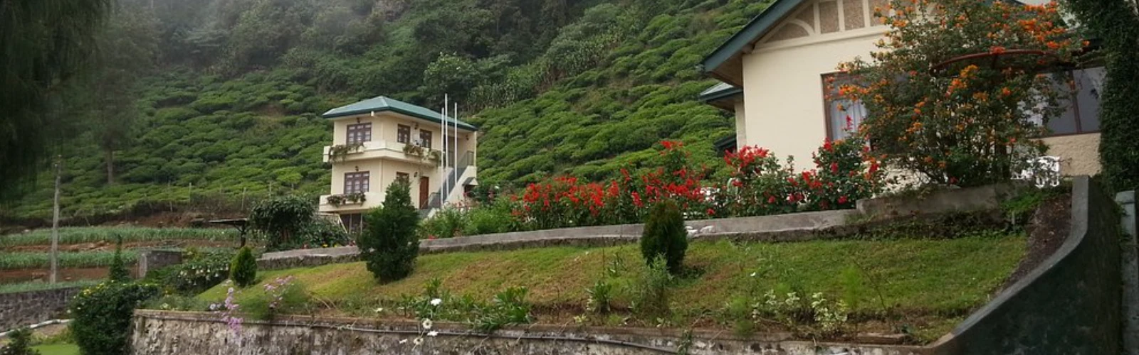 Tea Bush Hotel Nuwara Eliya – The Ultimate Hill Country Escape