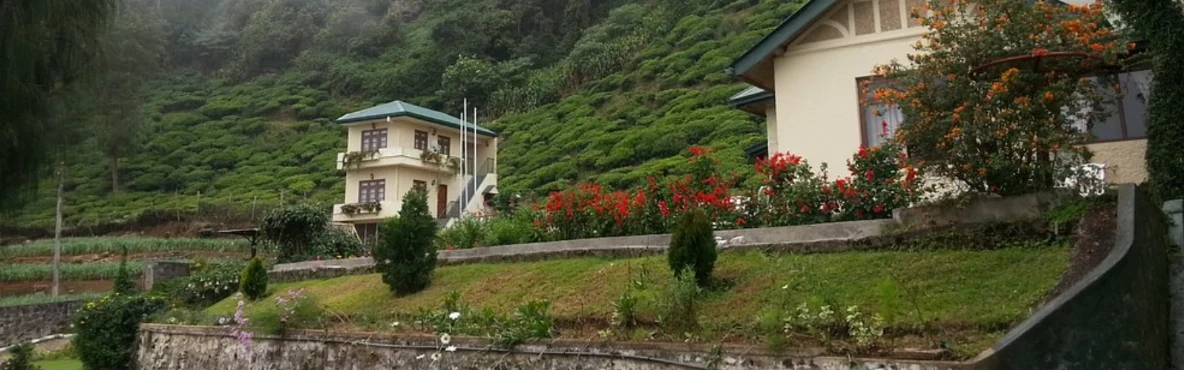 Tea Bush Hotel Nuwara Eliya – The Ultimate Hill Country Escape