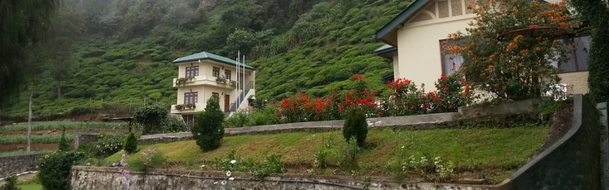 Tea Bush Hotel Nuwara Eliya – The Ultimate Hill Country Escape