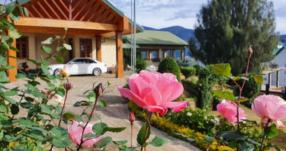 Tea Bush Hotel Nuwara Eliya – A Scenic Escape in Sri Lanka’s Hill Country