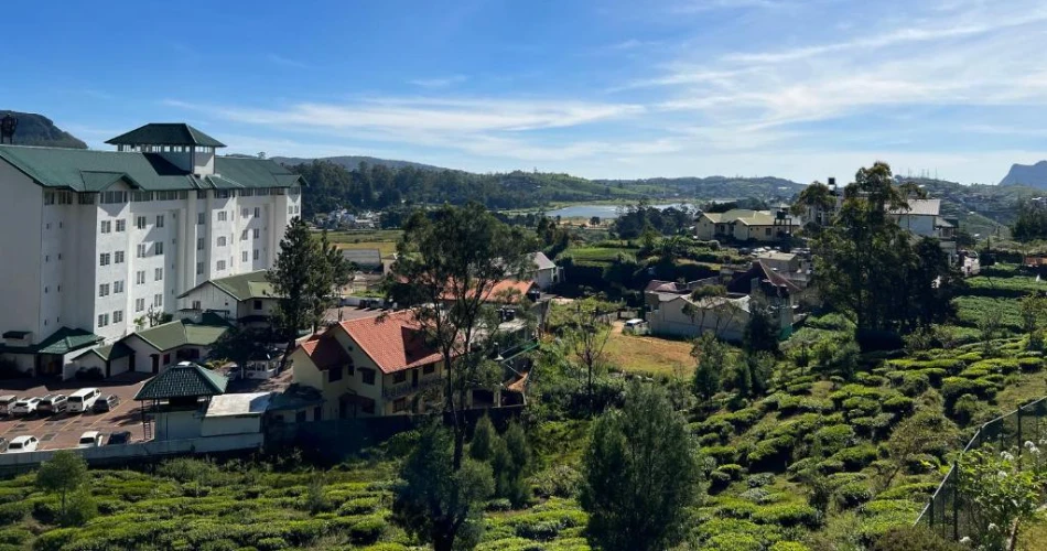 Tea Bush Hotel Nuwara Eliya – A Scenic Escape in Sri Lanka’s Hill Country